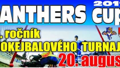 panthers2011new_original